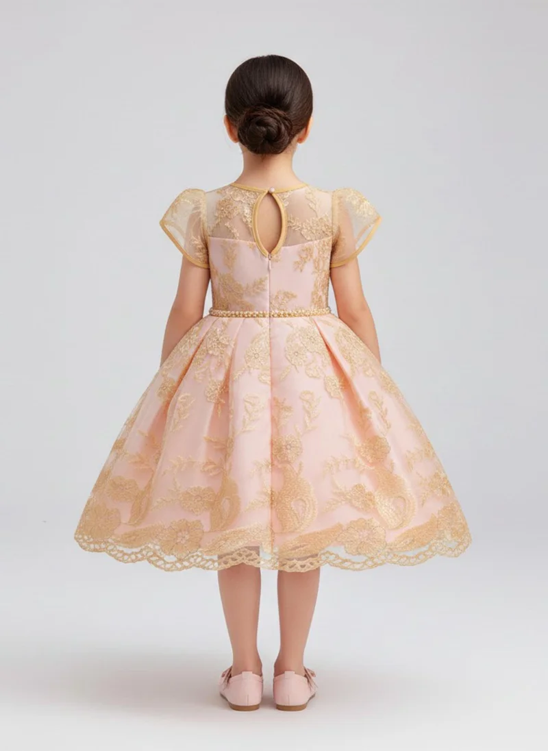 babyqlo Girls Peach Embroidered Tulle Party Dress